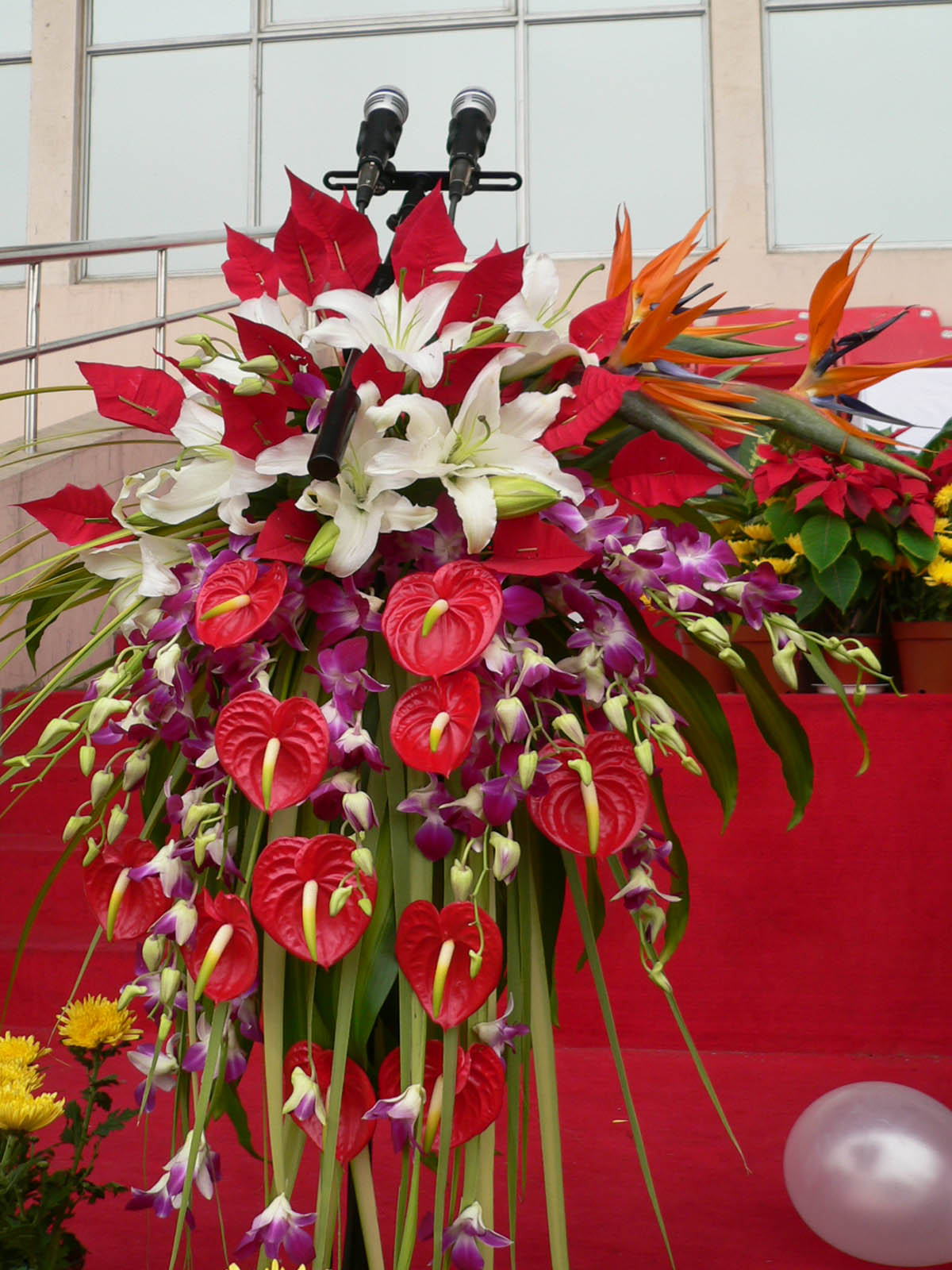 鮮切花&mdash;銀達(dá)園林工具制造